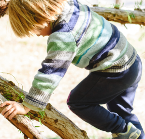 young boy climbing a tree