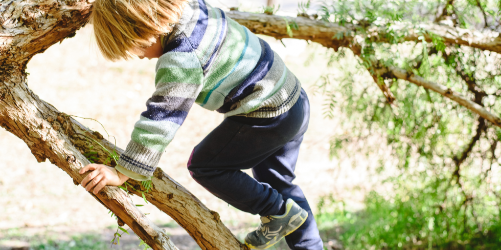 Young boy climbing a tree